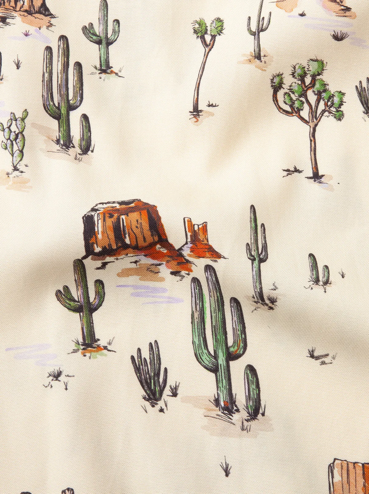 Jolene Joshua Tree Print Shirred Dress